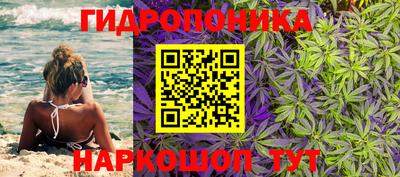 jwh Пушкино